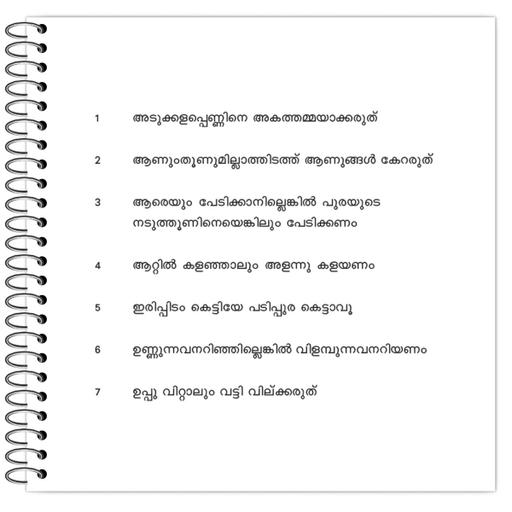 Picture of the product