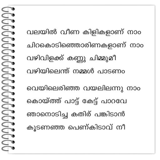 Picture of the product