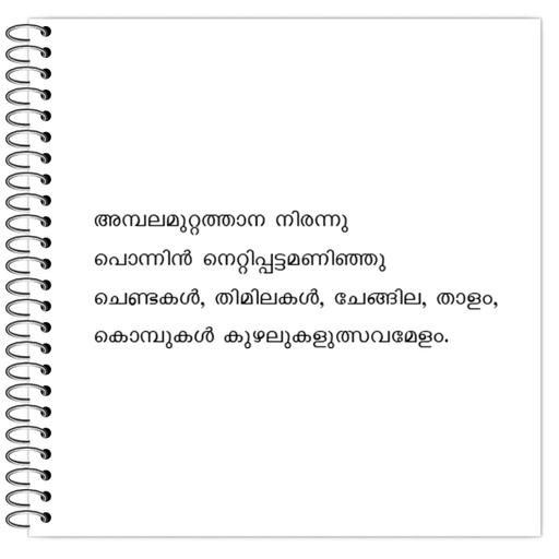 Picture of the product