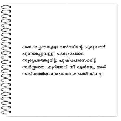 Picture of the product