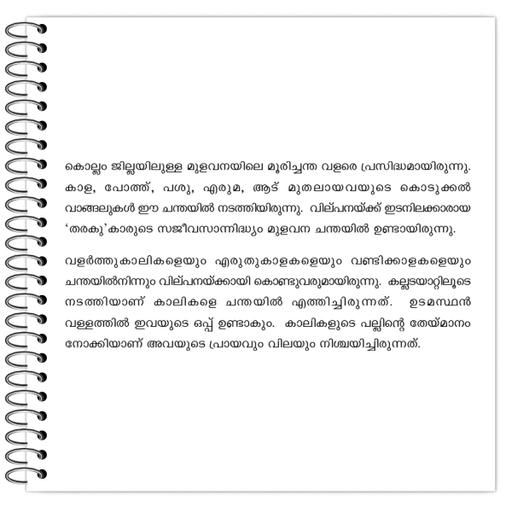 Picture of the product