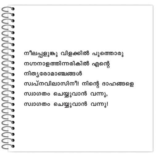 Picture of the product