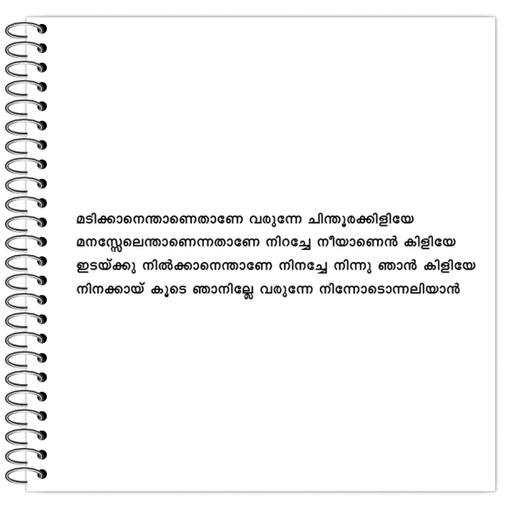 Picture of the product