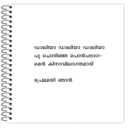 Picture of the product