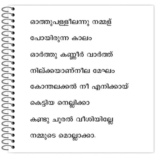 Picture of the product