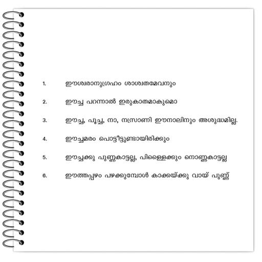 Picture of the product