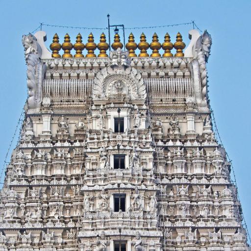 Picture of the product