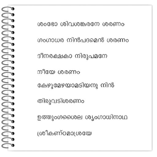 Picture of the product