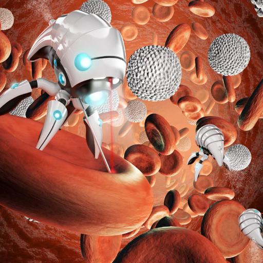 Picture of the product