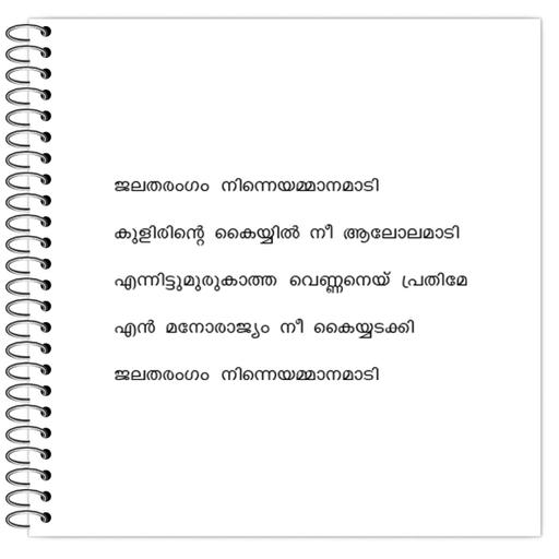 Picture of the product