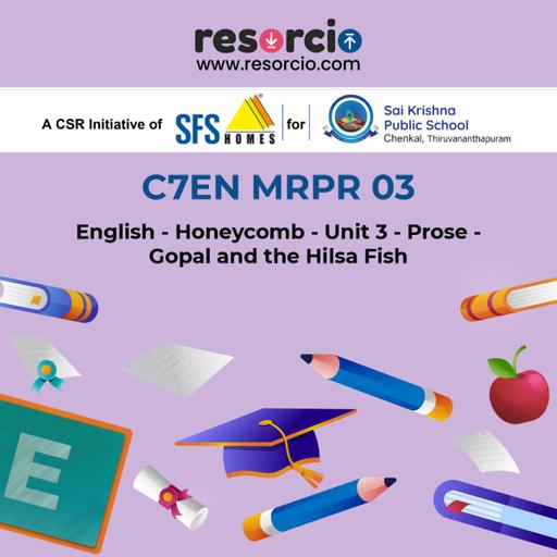 Picture of the product