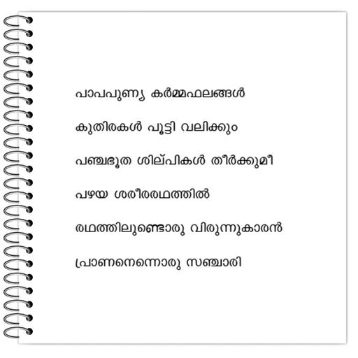 Picture of the product