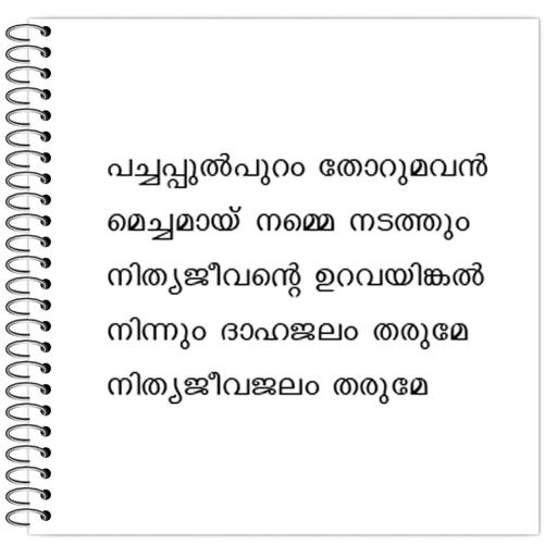 Picture of the product