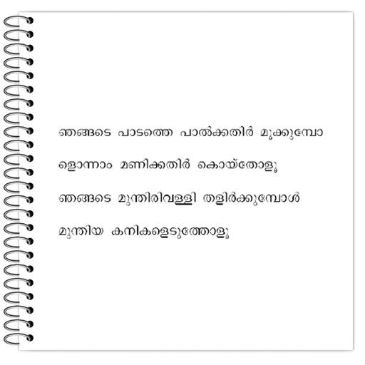 Picture of the product