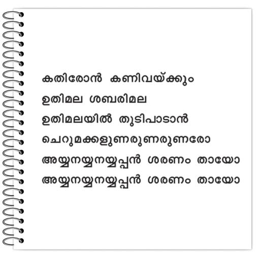 Picture of the product