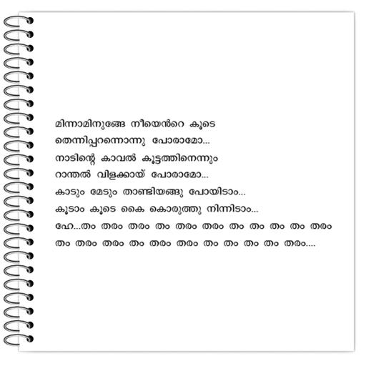 Picture of the product