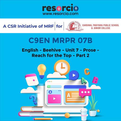 Picture of the product