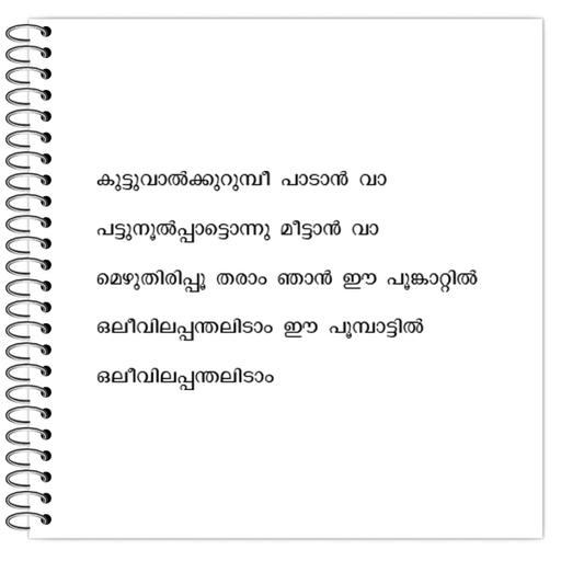 Picture of the product