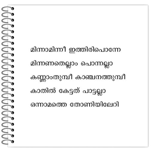 Picture of the product