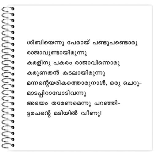 Picture of the product