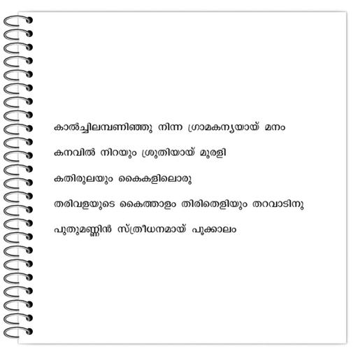 Picture of the product