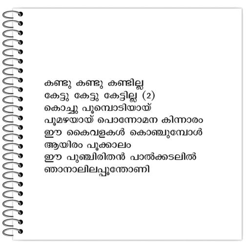 Picture of the product