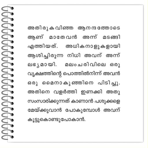 Picture of the product