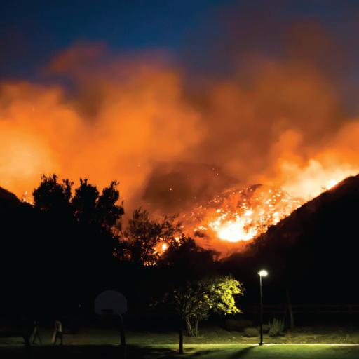 Picture of the product