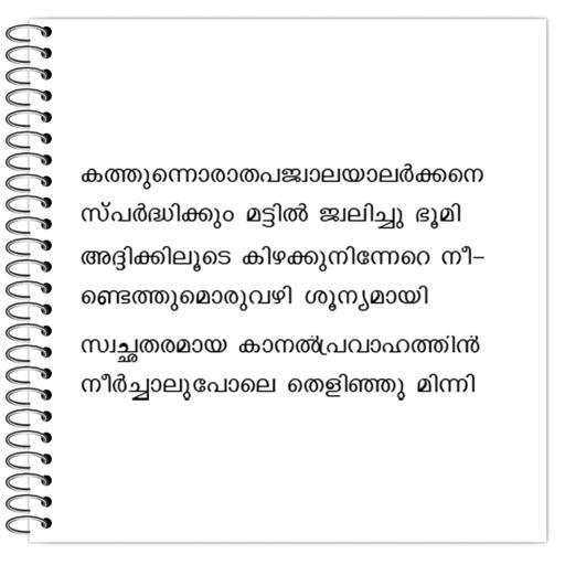 Picture of the product