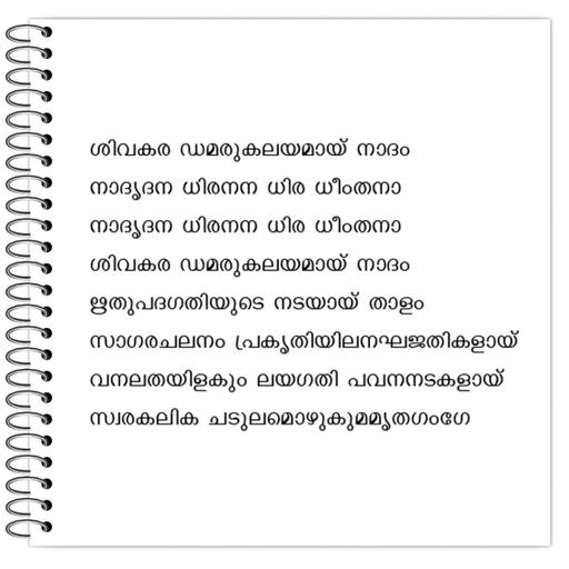 Picture of the product