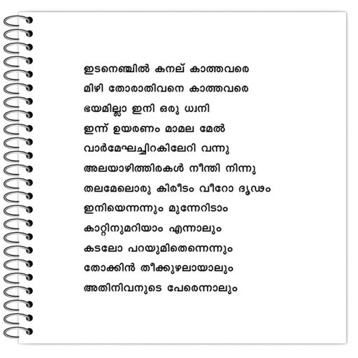 Picture of the product