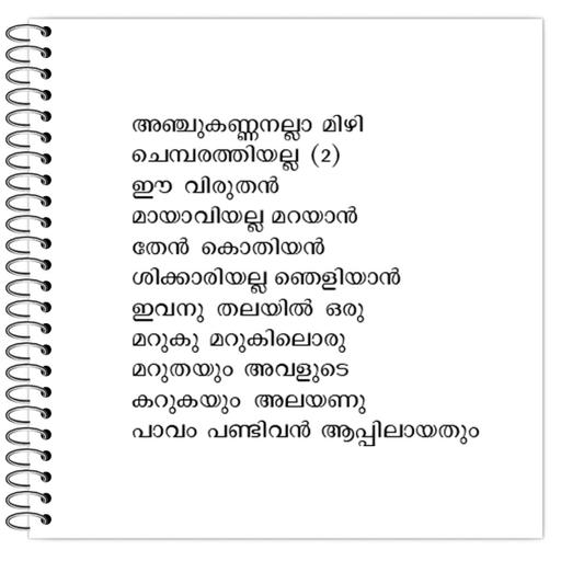 Picture of the product