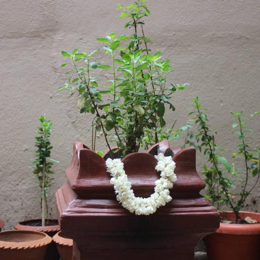 Picture of the product