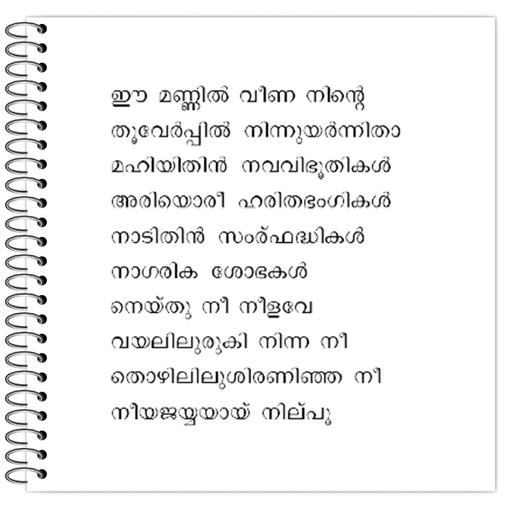 Picture of the product