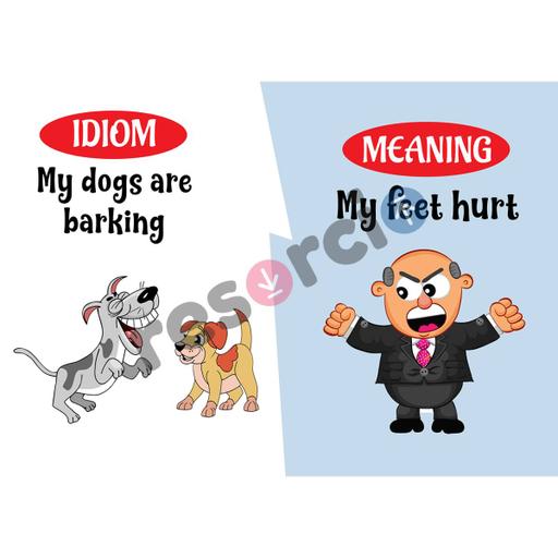 Picture of the product