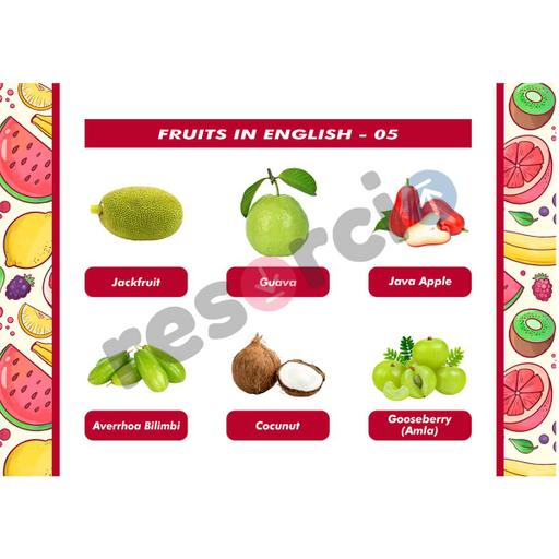 Picture of the product