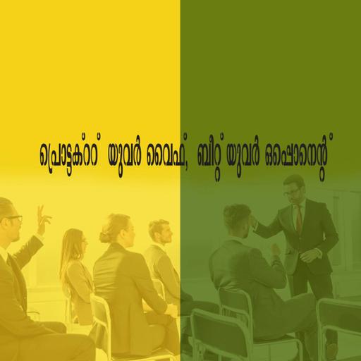 Picture of the product