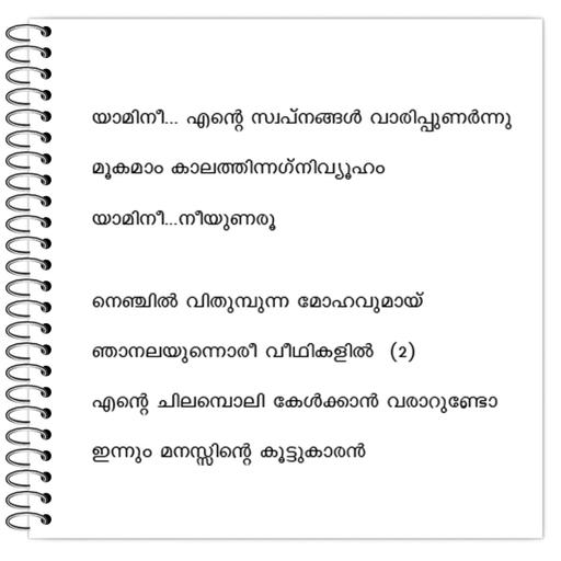 Picture of the product