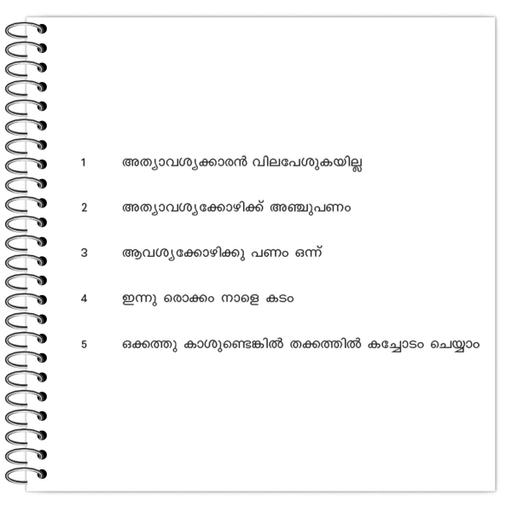 Picture of the product