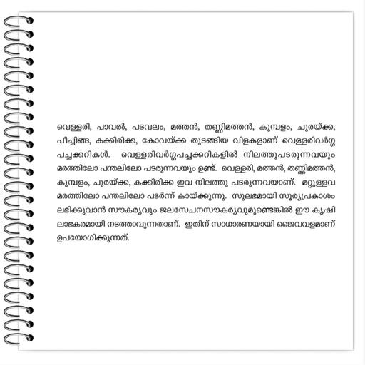 Picture of the product