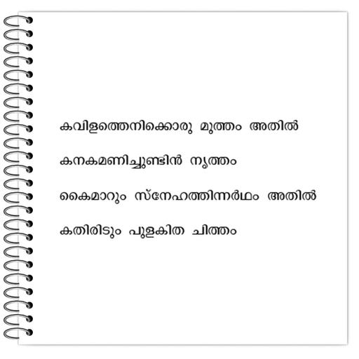 Picture of the product