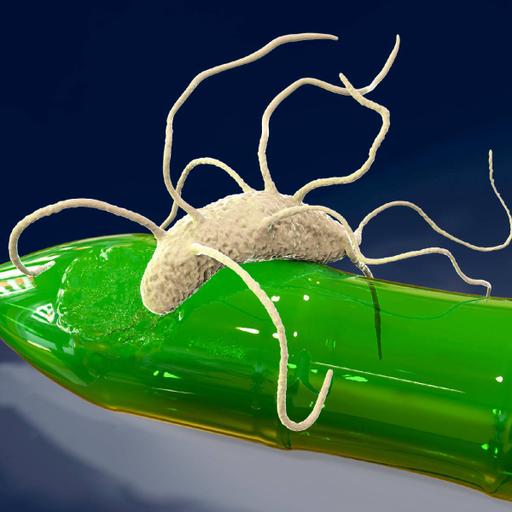 Picture of the product