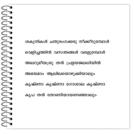 Picture of the product