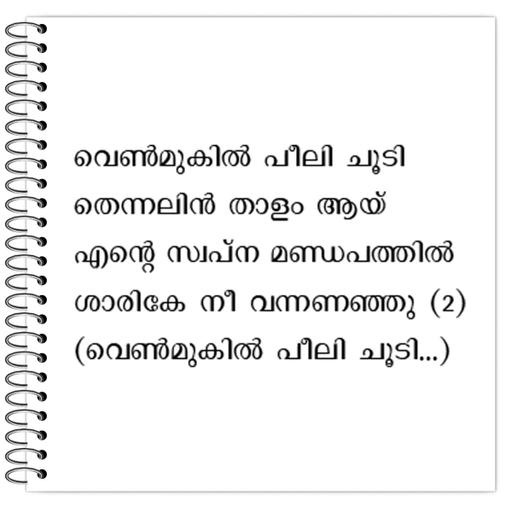 Picture of the product