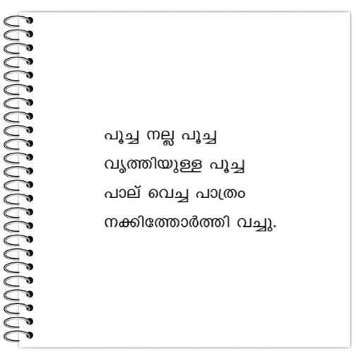 Picture of the product