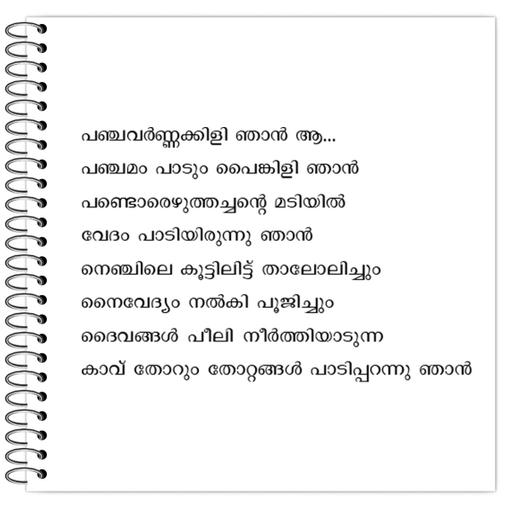 Picture of the product