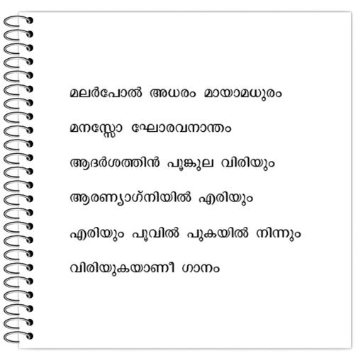 Picture of the product