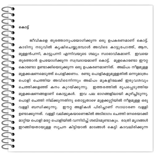 Picture of the product