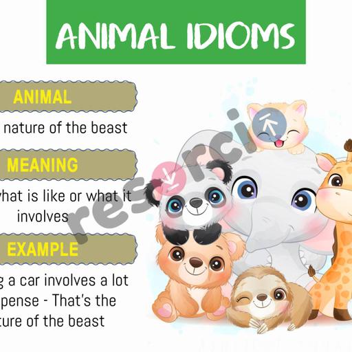 Picture of the product