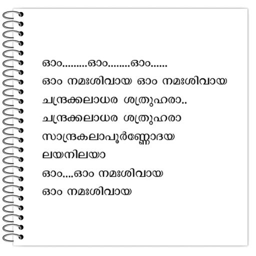 Picture of the product